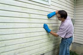 Best Storm Damage Siding Repair  in Godfrey, IL